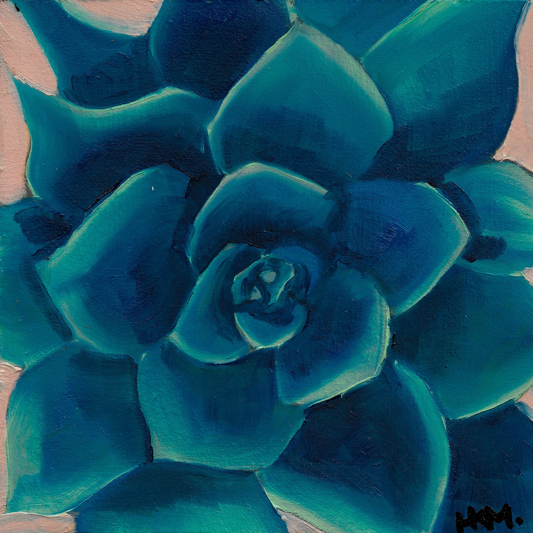 Succulent #5