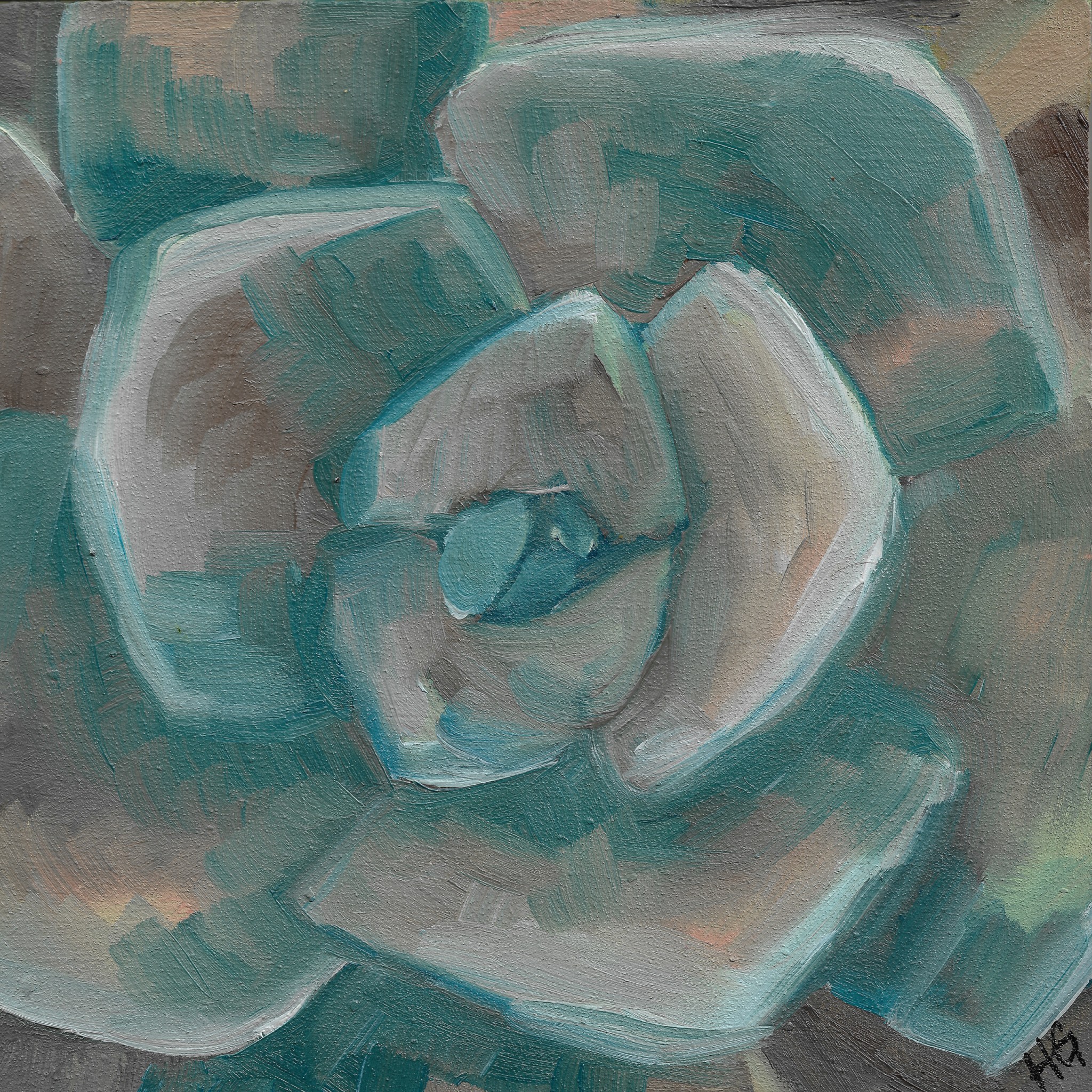 Succulent #7
